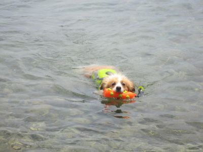 2013-07-30 11.33.39_400.jpg