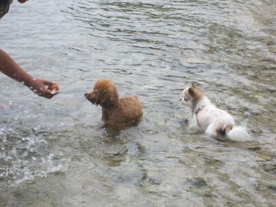 2013-07-30 11.40.53_400.jpg