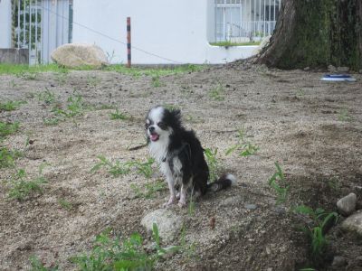2013-07-30 11.41.14_400.jpg