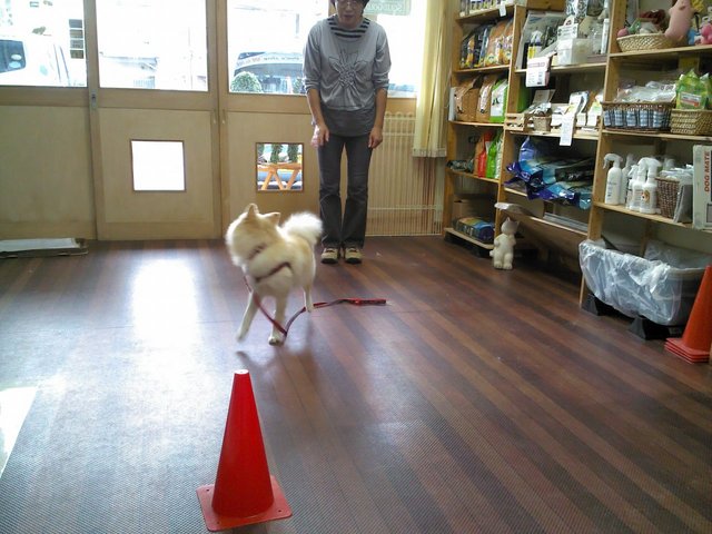 2013-10-20 14.56.40.jpg