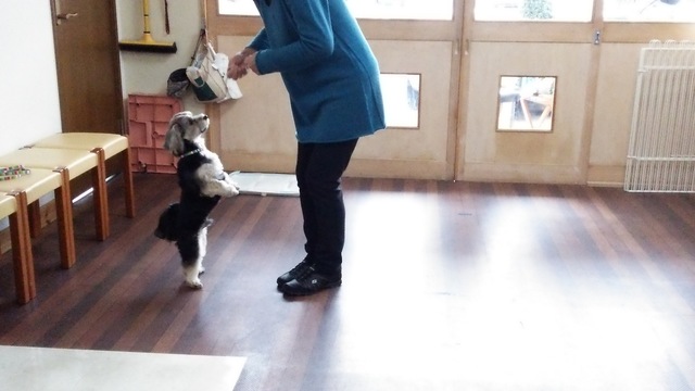 2015-01-14 13.45.16.jpg