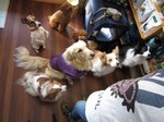 IMG_1141_400.jpg