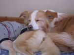 IMG_1171_400.jpg