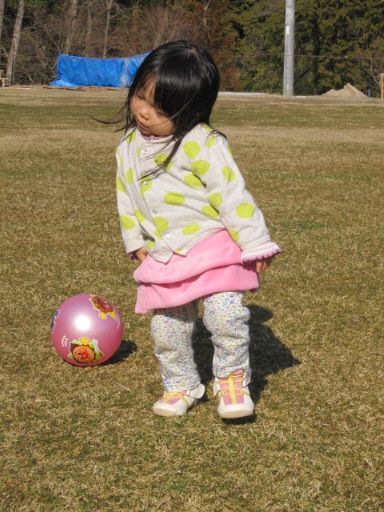 IMG_3345_512.jpg