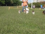IMG_3991r.jpg