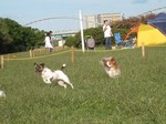 IMG_3993r.jpg