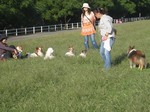 IMG_3995r.jpg