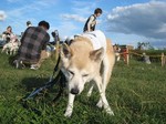 IMG_3999r.jpg