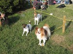 IMG_4001r.jpg