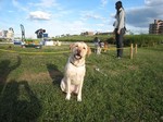 IMG_4008r.jpg