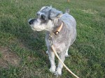IMG_4009r.jpg