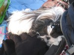 IMG_4015r.jpg