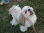IMG_4018rr.jpg