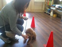 Picture120713_112400.jpg